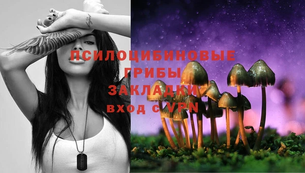 ECSTASY Куйбышев