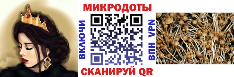 Купить где  Пересвет  Галлюциногенные грибы Cubensis 